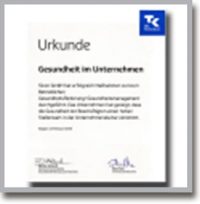 Betriebliches Gesundheitsmanagement Techniker Krankenkasse